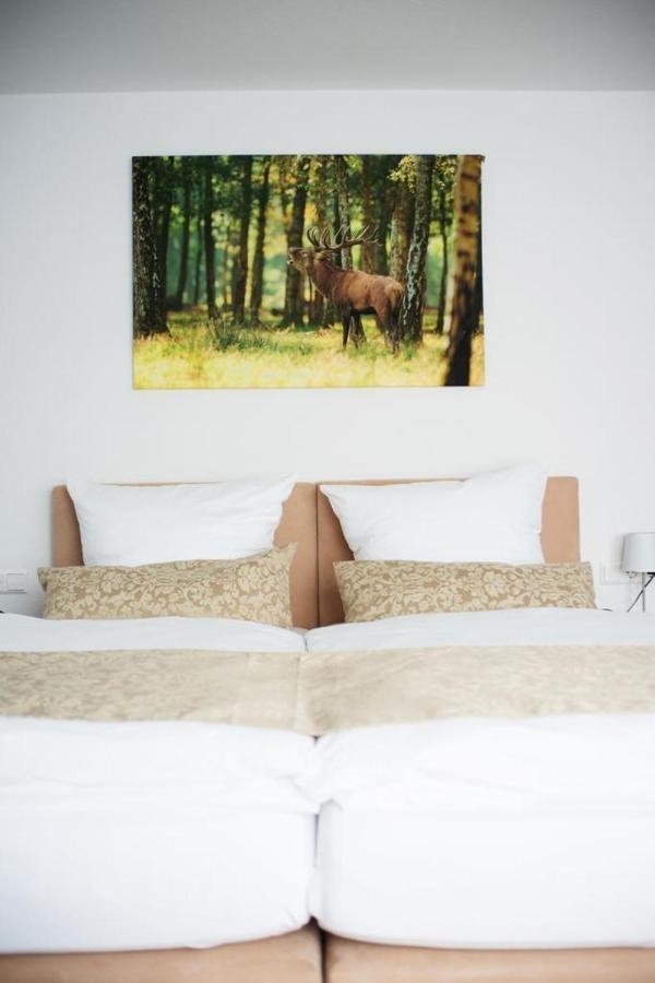 Auerhahn Nest Hotel Bad Wildbad Exterior photo